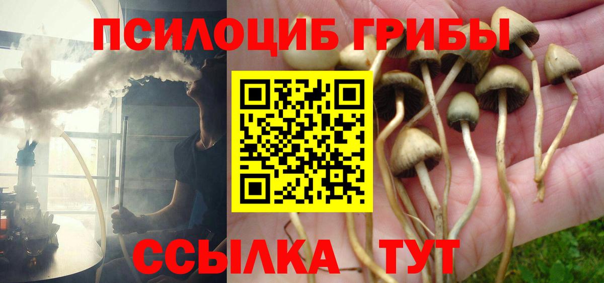 Псилоцибиновые грибы Cubensis  Вход с VPN  Сарапул 