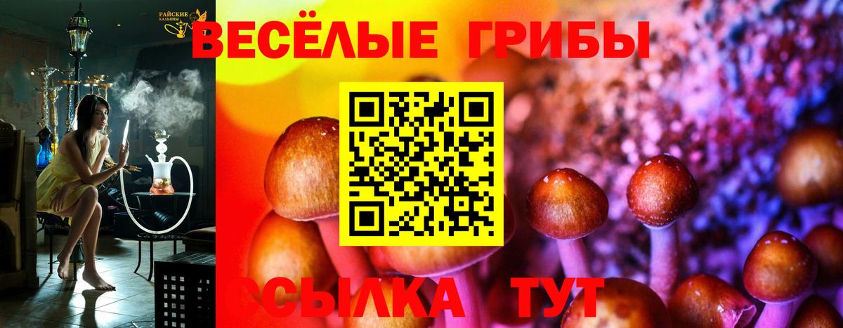 Галлюциногенные грибы ЛСД Сарапул